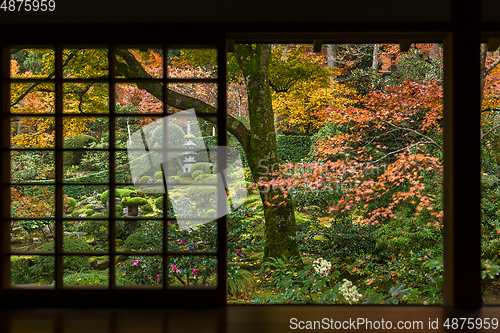 Image of Japanese hosue with maple tree