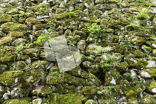 Image of Old stone wall with moss and lichen