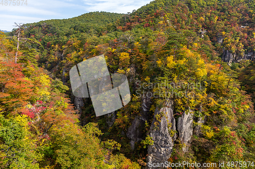 Image of Naruko canyon with autumn foliage