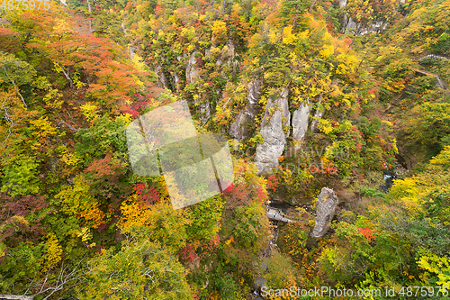 Image of Autumn Naruko canyon