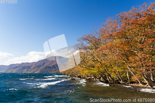 Image of Towada Lake in autumn season