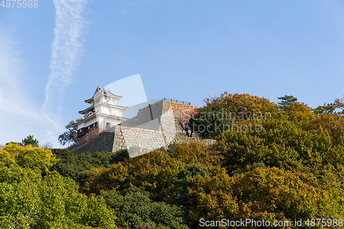 Image of Marugame Castle in Japan