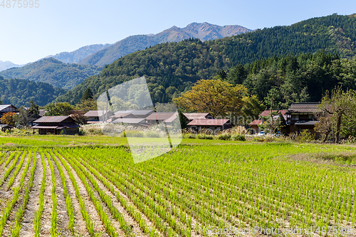 Image of Japanese old village in Shirakawa