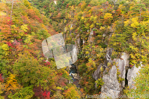 Image of Naruko canyon