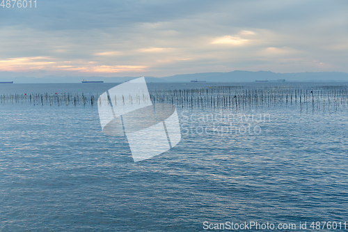 Image of Fishing farm 