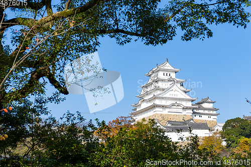 Image of Himeji castle