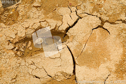 Image of Footprint on mud