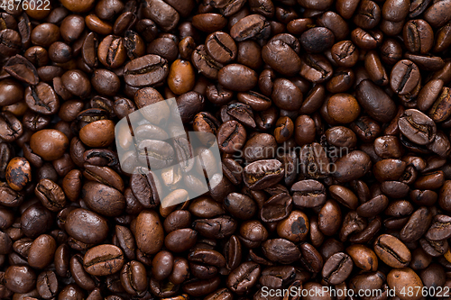 Image of Roasted coffee bean