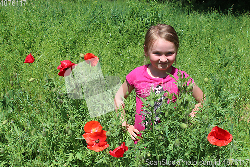 Image of girl standing in the flower-bed with red poppies