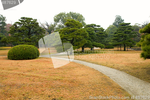 Image of Lawn and bush