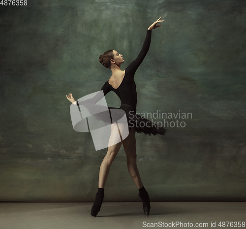 Image of Young graceful tender ballerina on dark studio background