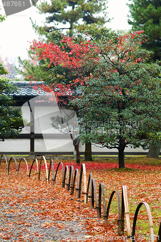 Image of Japanese garden