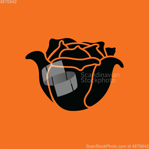 Image of Cabbage icon