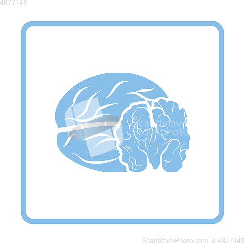 Image of Walnut icon