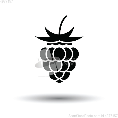 Image of Raspberry icon