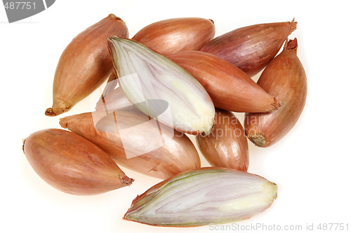 Image of Shallot