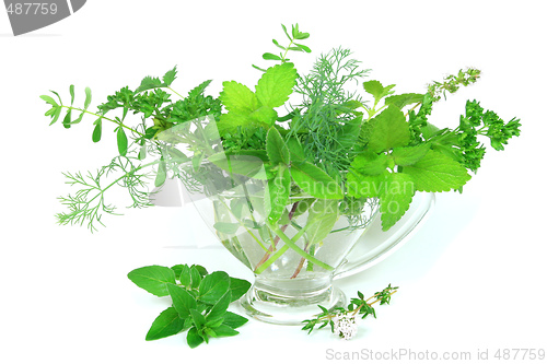 Image of Herbs