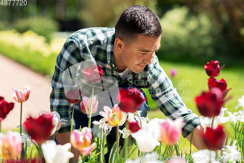 Image of middle-aged man taking care of flowers at garden