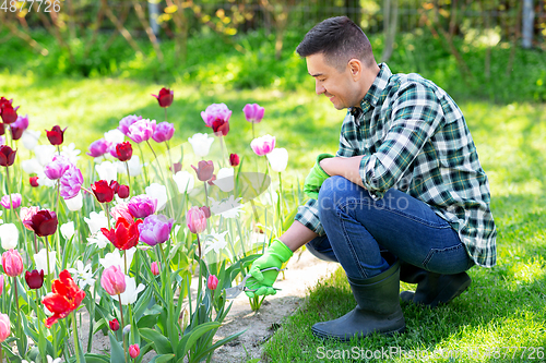 Image of man with pruner taking care of flowers at garden