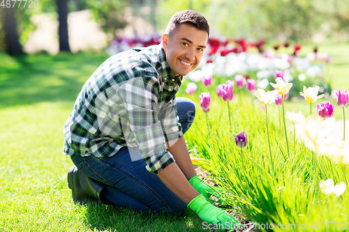 Image of happy man taking care of flowers at garden