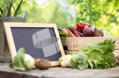 Image of close up of vegetables with chalkboard on farm