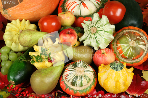 Image of Autumn composition