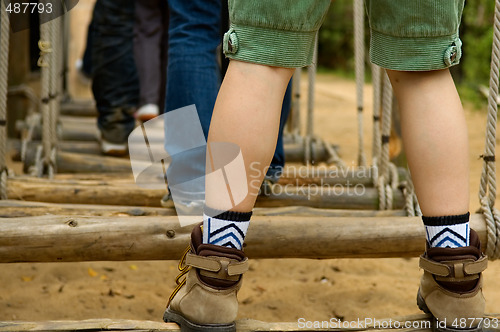 Image of Walking swing woods