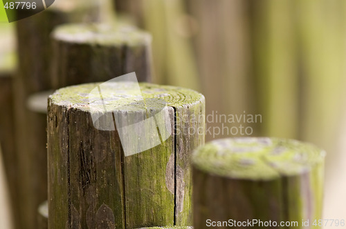 Image of Line of wooden beams