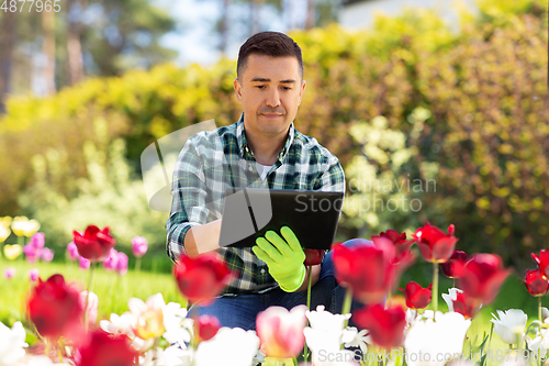 Image of man with tablet pc and flowers at summer garden