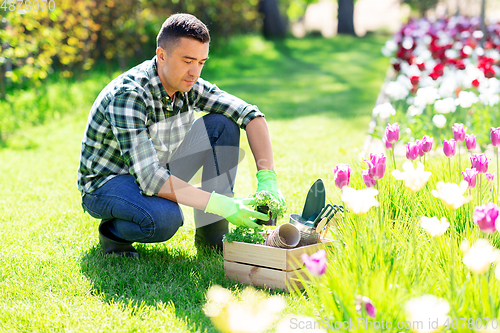 Image of middle-aged man with tools in box at summer garden