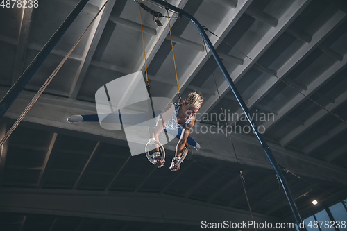 Image of Little male gymnast training in gym, flexible and active. Caucasian fit little boy, athlete in sportswear practicing in exercises for strength, balance.