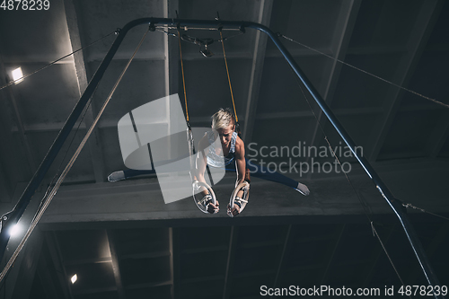 Image of Little male gymnast training in gym, flexible and active. Caucasian fit little boy, athlete in sportswear practicing in exercises for strength, balance.