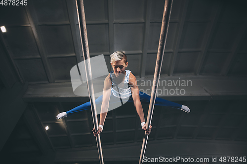 Image of Little male gymnast training in gym, flexible and active. Caucasian fit little boy, athlete in sportswear practicing in exercises for strength, balance.