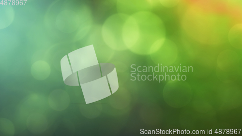 Image of Multicolored defocused bokeh lights background - horizontal wallpaper, poster