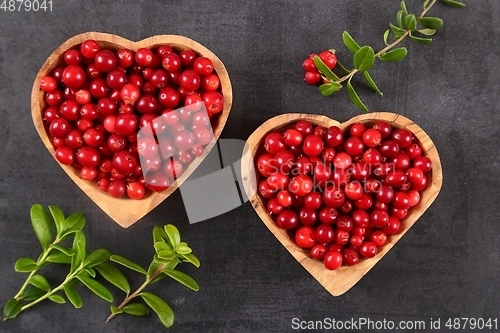 Image of Cowberries.