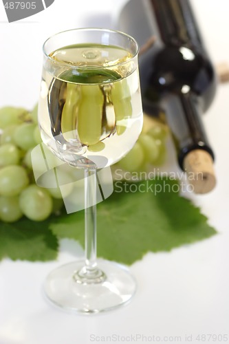 Image of Wine with Bottle