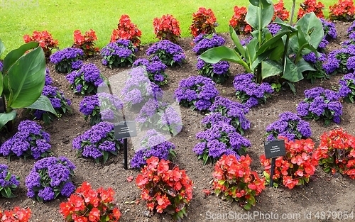 Image of Floral decorative garden.