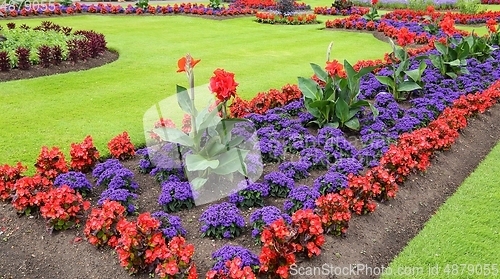 Image of Floral decorative garden.