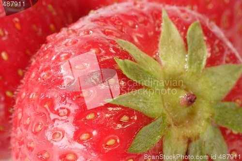Image of Close-up of Strawberries