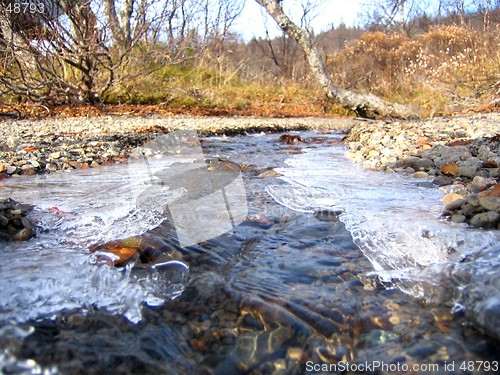 Image of The creek freezes over