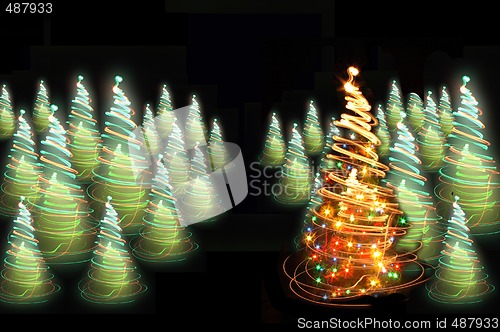 Image of xmas tree