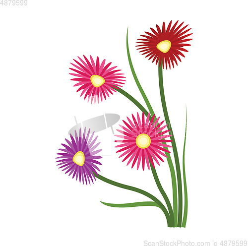 Image of Vector illustration of orange purple and red aster flowers on wh