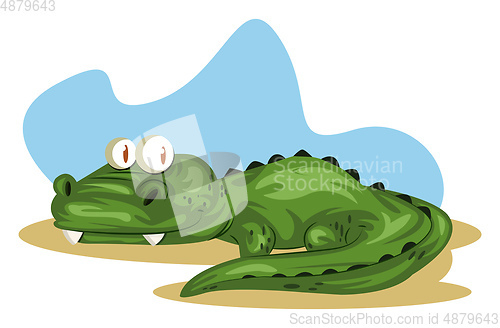 Image of green crocodile, vector color illustration.