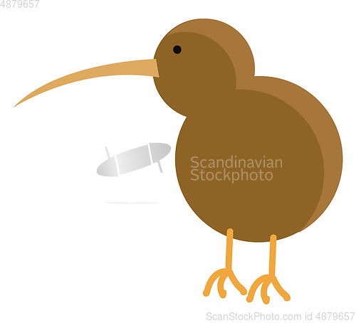 Image of Brown kiwi birdillustration vector on white background
