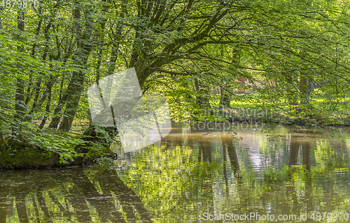 Image of idyllic park scenery