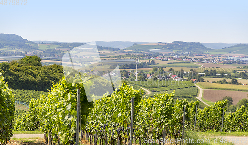 Image of winegrowing scenery in Hohenlohe