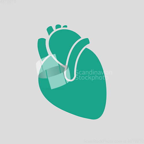 Image of Human heart icon