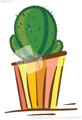 Image of A beautiful cactus plant in a colorful flowerpot vector color dr