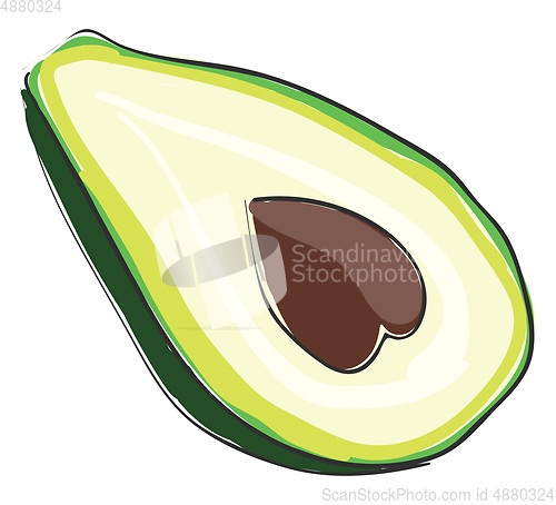 Image of Sliced Avocado vector or color illustration