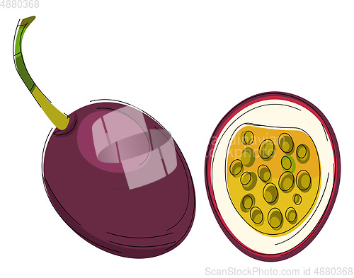 Image of Clipart of passion fruit vector or color illustration